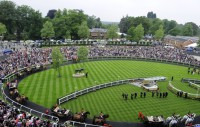 /album/fenykepgaleria/royal-ascot-2013-12-jpg1/